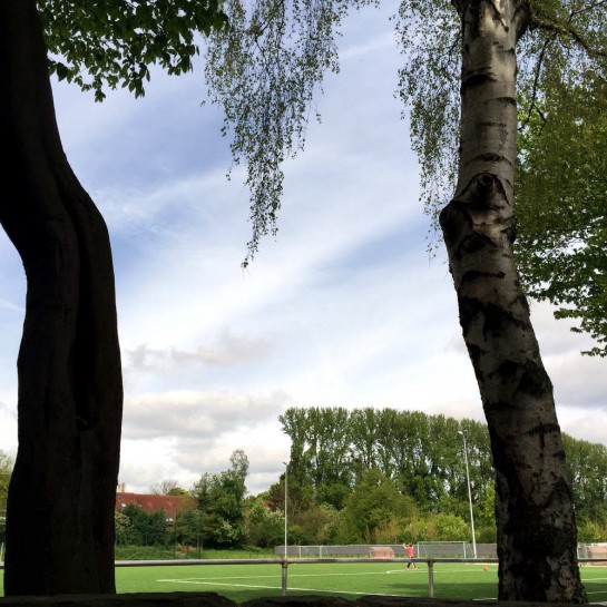 Dortmund-Schüren, Sportplatz, durch zwei Bäume hindurch fotografiert