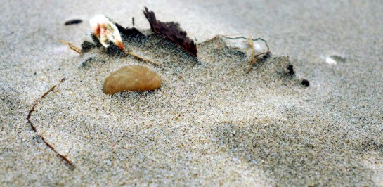 Ein gelber Stein und Gekröse im Sand
