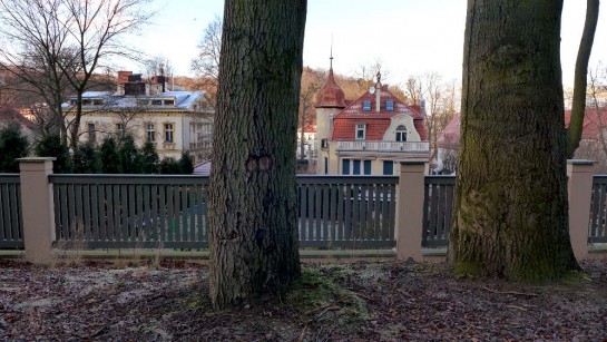 Wrzeszcz: Blick aus dem Wald auf Stadtvilla