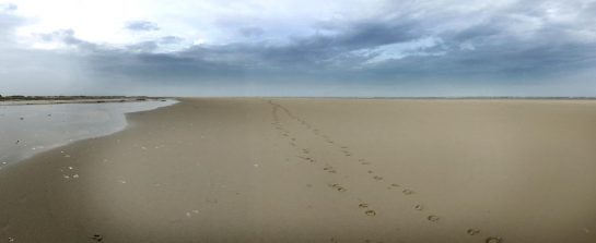 Sand und Wasser, Norderney, Ostende