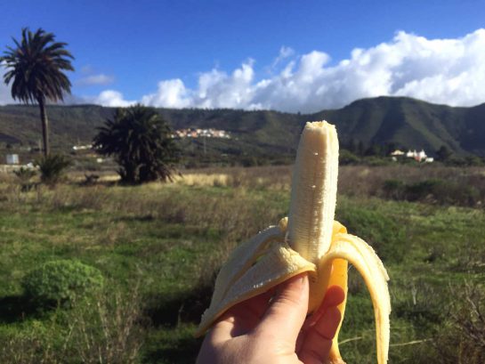 Teneriffa: Banane vor Palmenkulisse