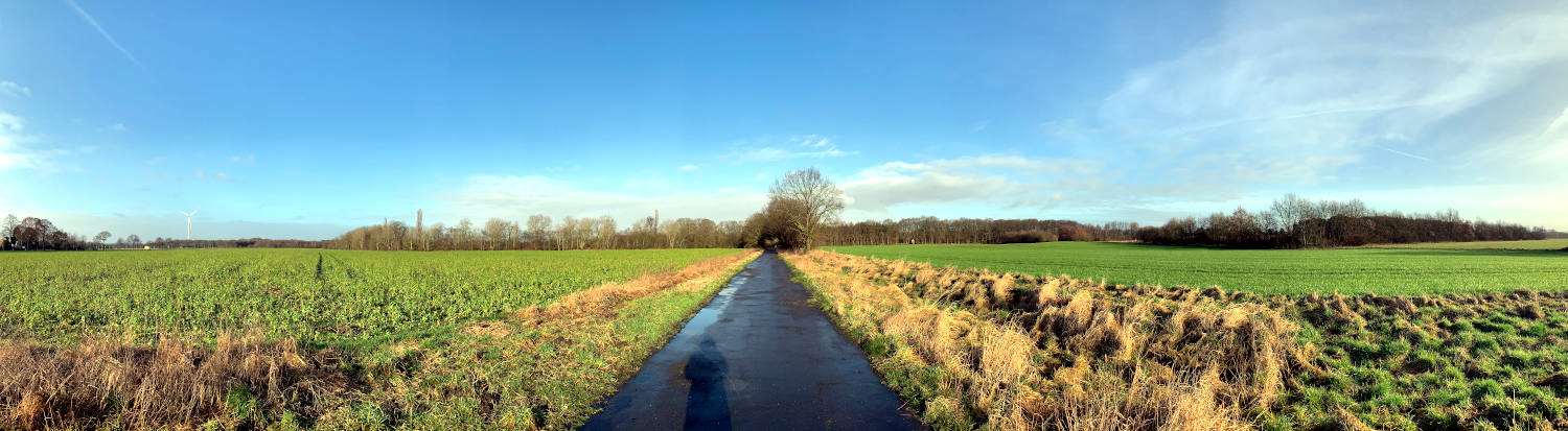 Panoramaaufnahme: In der Mitte asphaltierter Feldweg, links und rechts Feld unter blauem Himmel. 