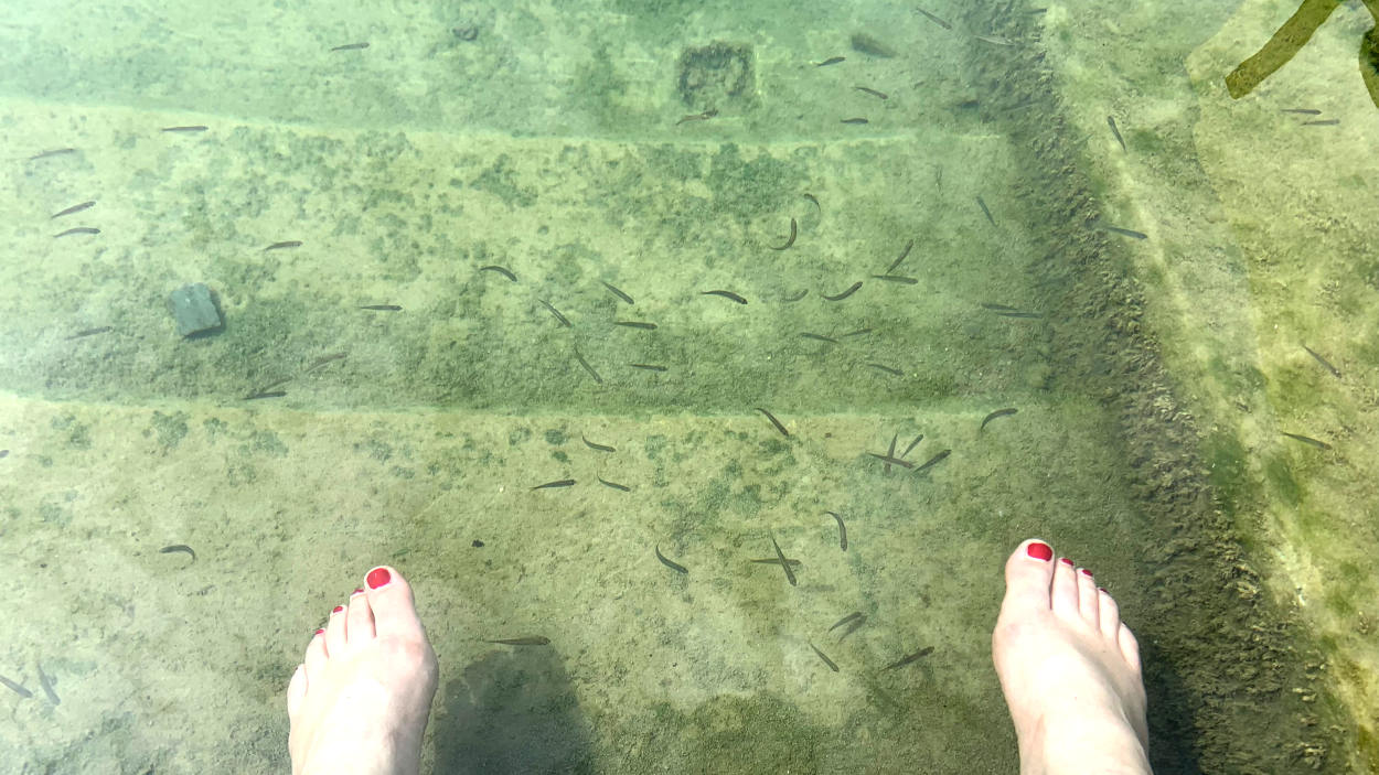 Kleine Fische im Wasser, Füße mit rotem Nagellack