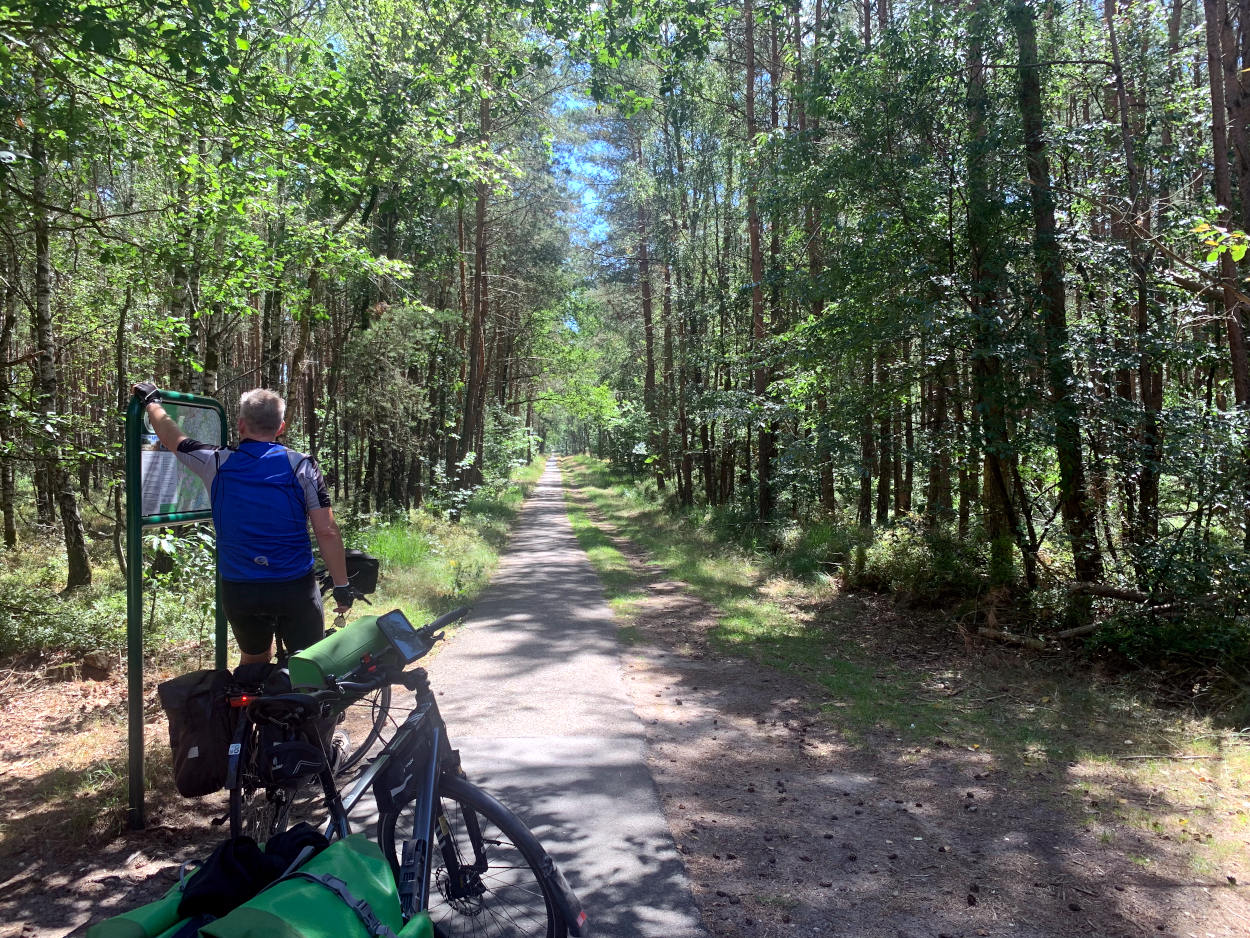Waldweg, davor zwei Fahrräder, auf einem sitzt der Reiseleiter