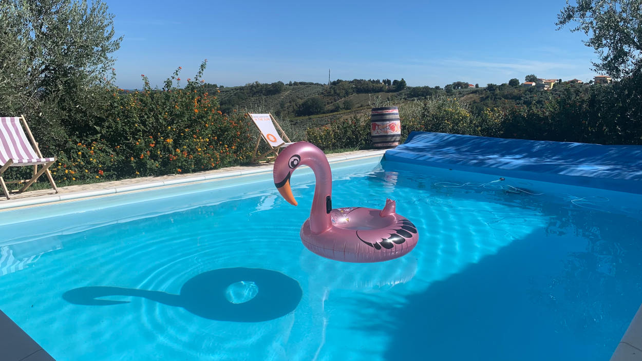 Badeflamingo treibt auf dem Pool in Olivenhängen