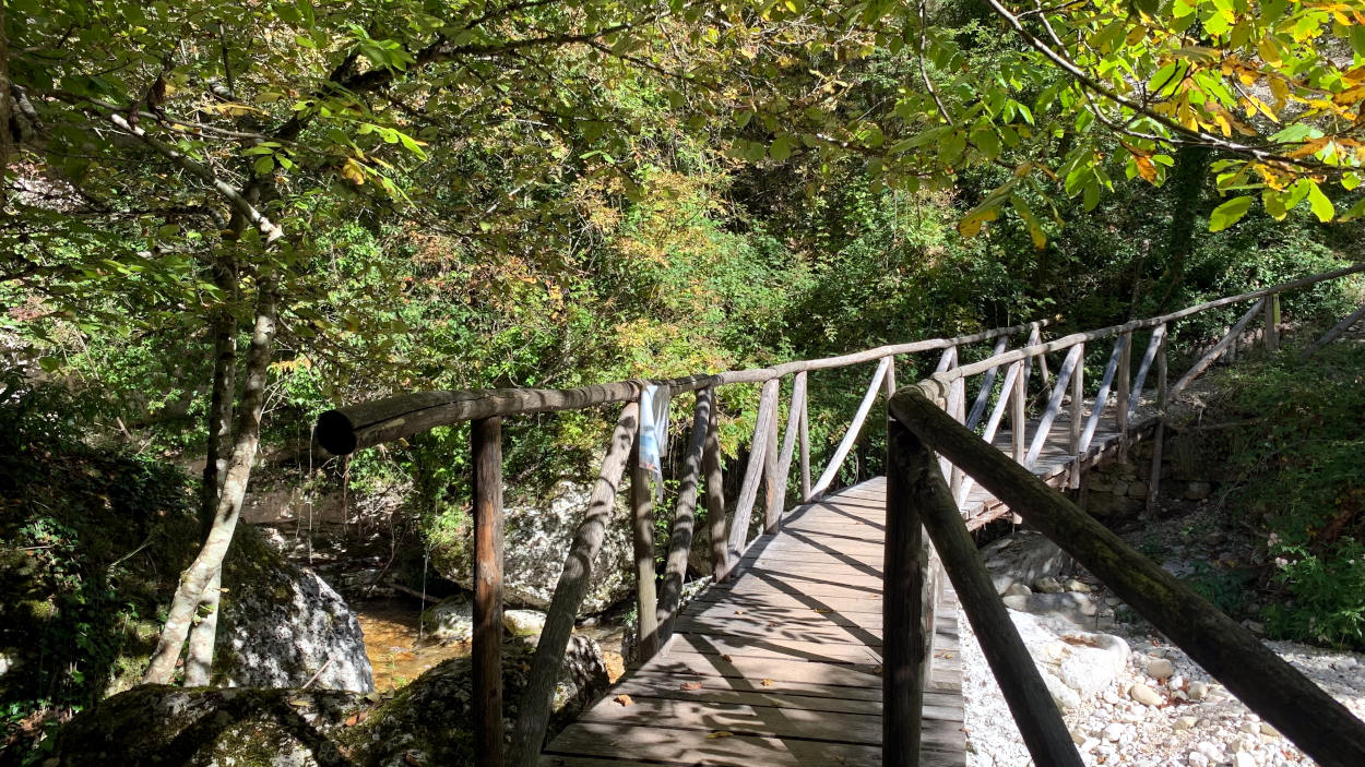Eine Brücke im Wald