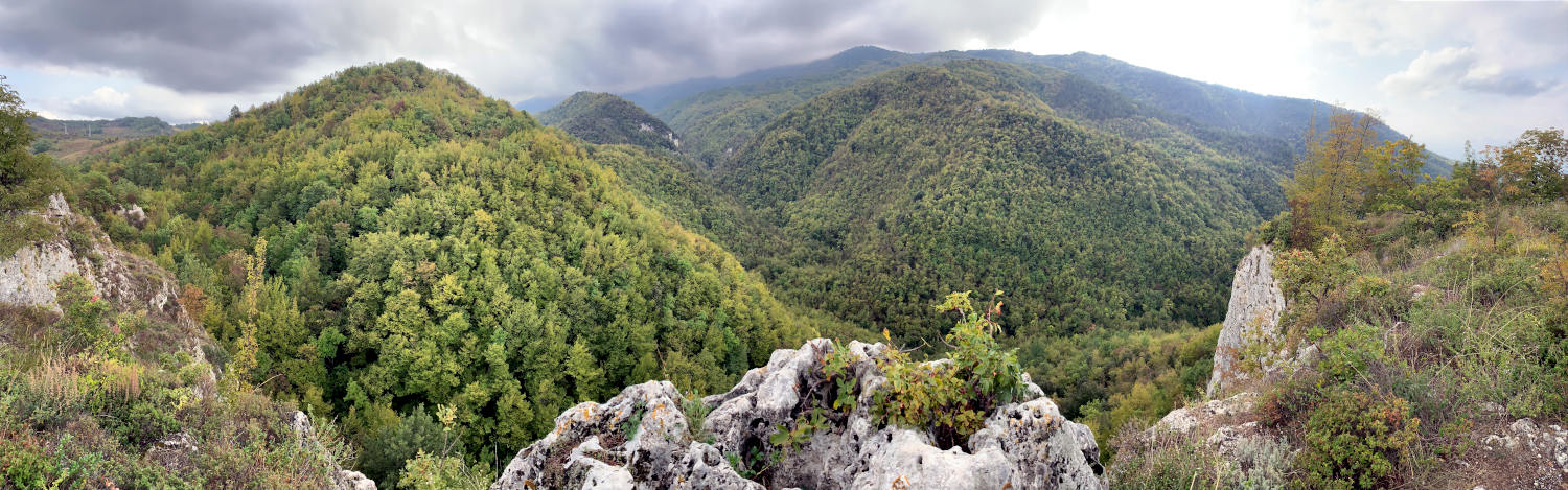 Bergig-hügelige Landschaft mit Felsen und dichtem Wald