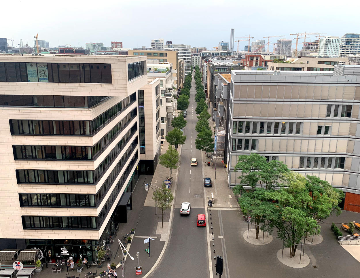 Blick in die HafenCity: Moderne Gebäude und eine Straße mit Bäumen