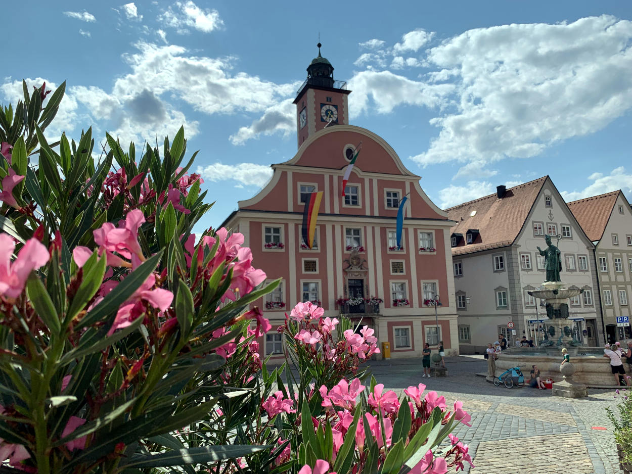 Blühender Oleabder, dahinter der Marktplatz mit bayerischen Fassaden