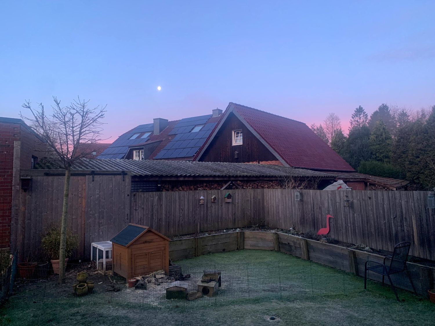 Garten mit einem Bretterzaun, dahinter ein Dachfirst, darüber Morgenrot und ein Mond