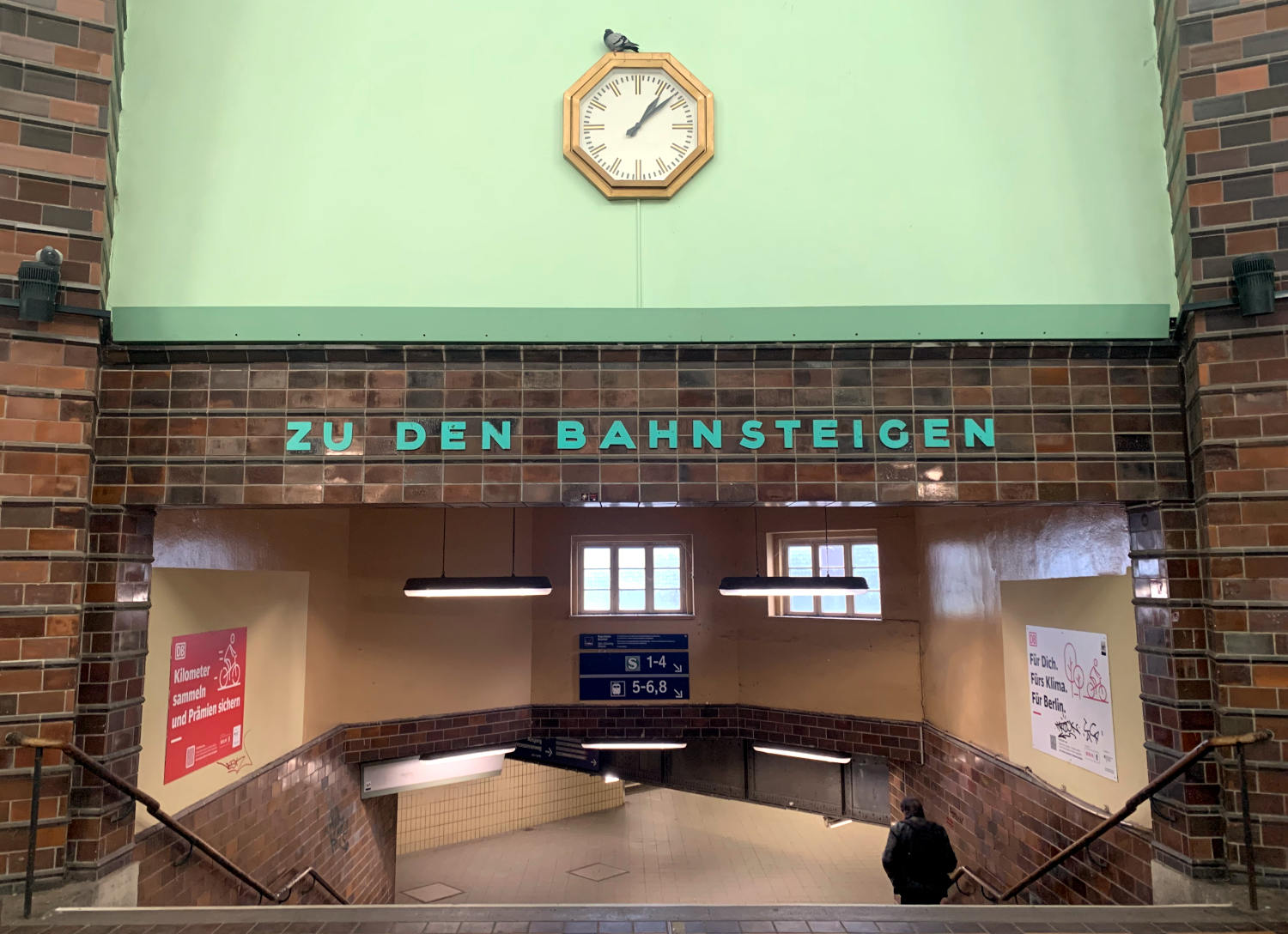 Weg zu den Gleisen im Bahnhof Wannsee, darüber eine Taube auf einer Uhr und eine auf einem Sims. 
